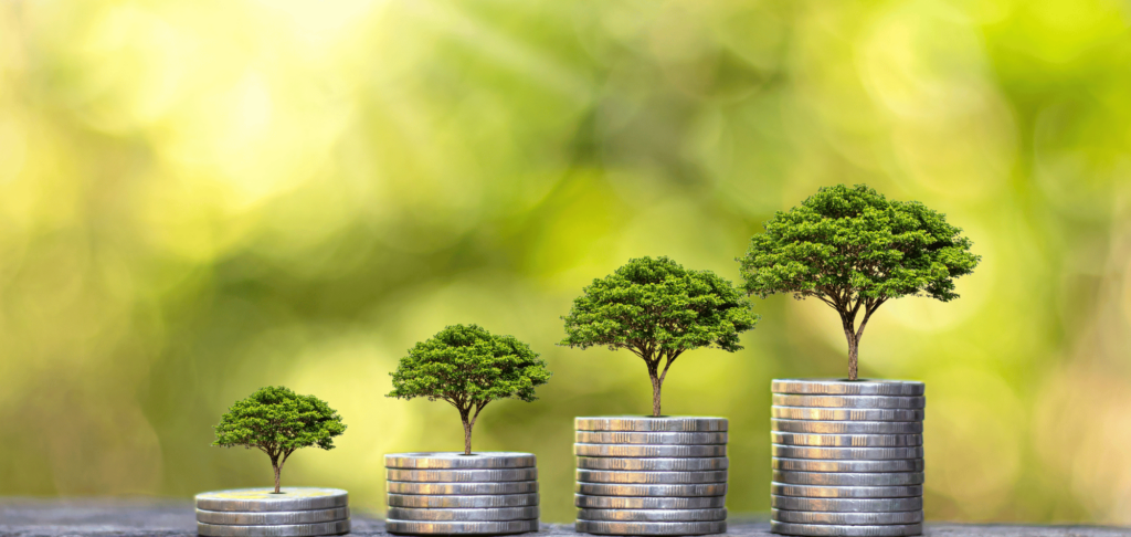 A Travel Manager’s Guide: Balancing Budgets and Sustainability